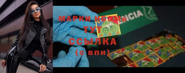 ГАЛЛЮЦИНОГЕННЫЕ ГРИБЫ Абаза
