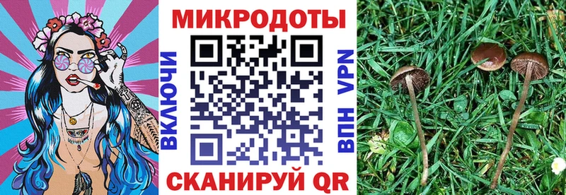 где купить наркоту Саратов Псилоцибиновые грибы прущие грибы